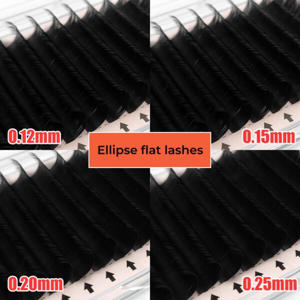 Ellipse Flat Lashes Soft Matte Volume Eyelashes Vendor Extension private label with logo custom packaging - Image 4